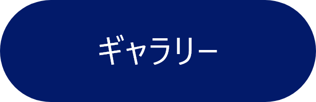 ギャラリー